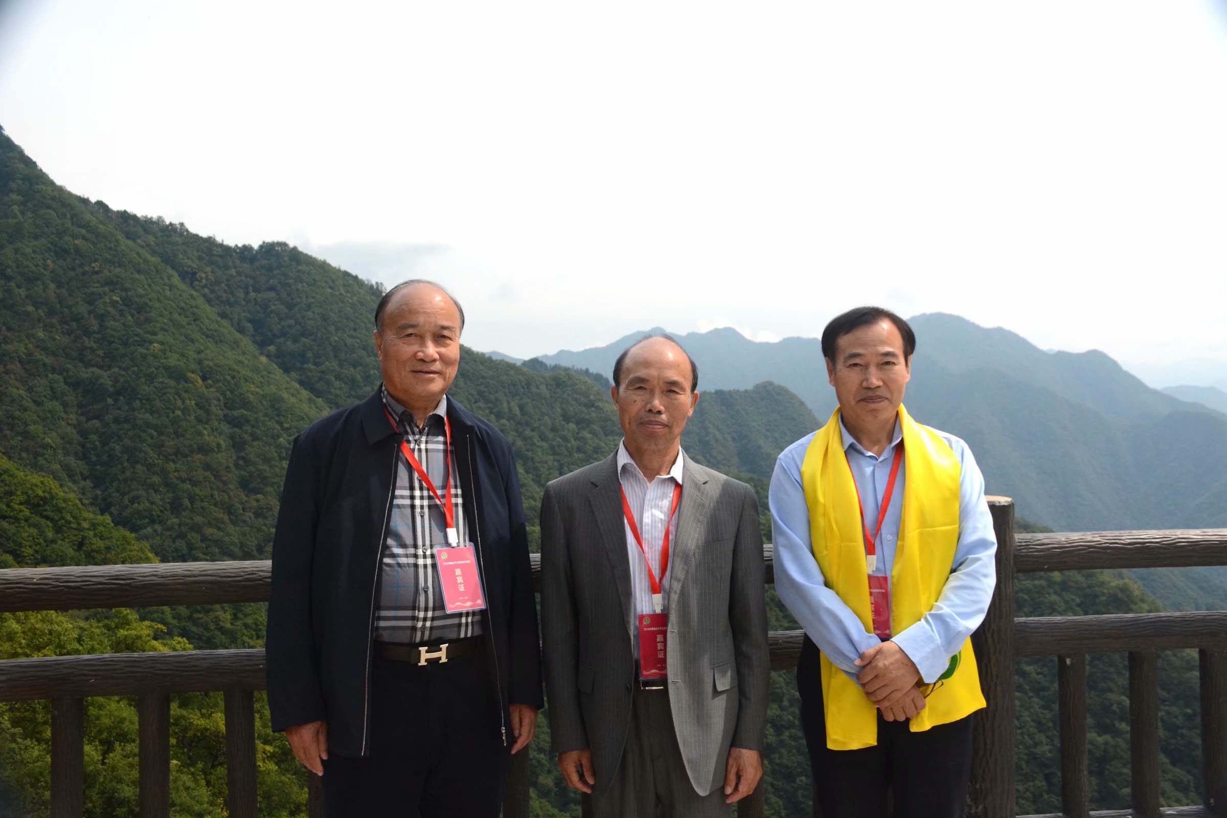 鍥剧墖5.jpg 鍥剧墖5.jpg